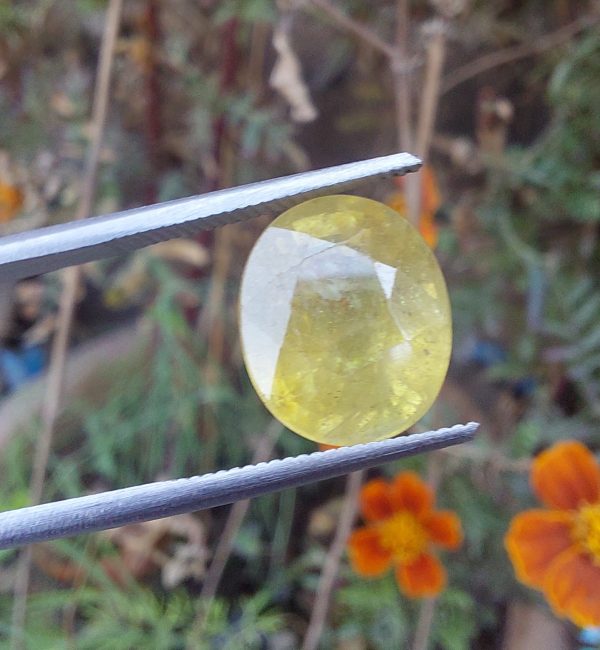 Natural Yellow Sapphire Pukhraj loose gemstone 6 carat bright yellow color